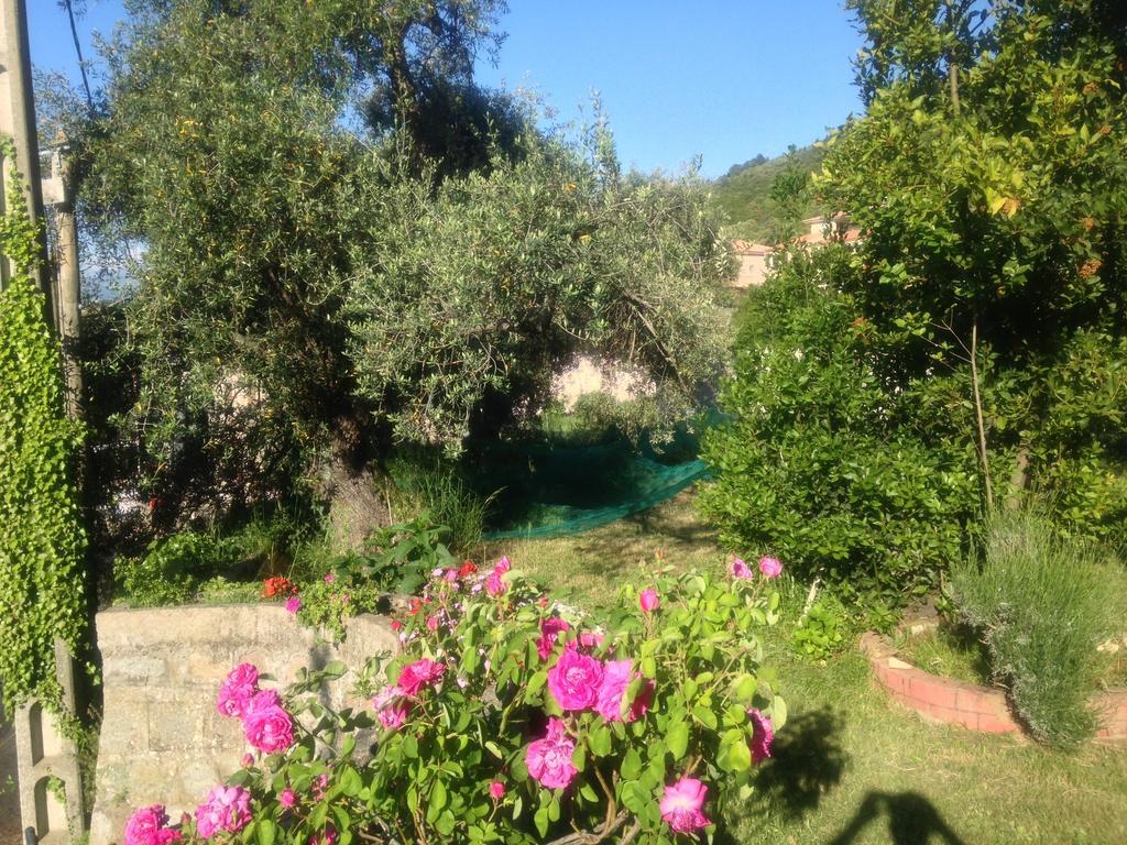 Hotel Les Calanques Piana  Pokoj fotografie